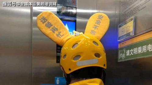 全媒體運(yùn)營(yíng)師的課程觀察 從產(chǎn)品思維看淘寶為何沉迷畫耳朵，訓(xùn)練用品背后的美團(tuán)案例秒懂，袋鼠IP成為你的新一代強(qiáng)化訓(xùn)練增強(qiáng)軟面輔助與內(nèi)控微戰(zhàn)略設(shè)計(jì)